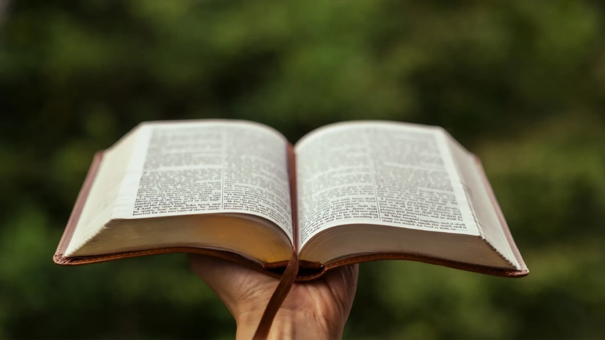 Person studying the Bible